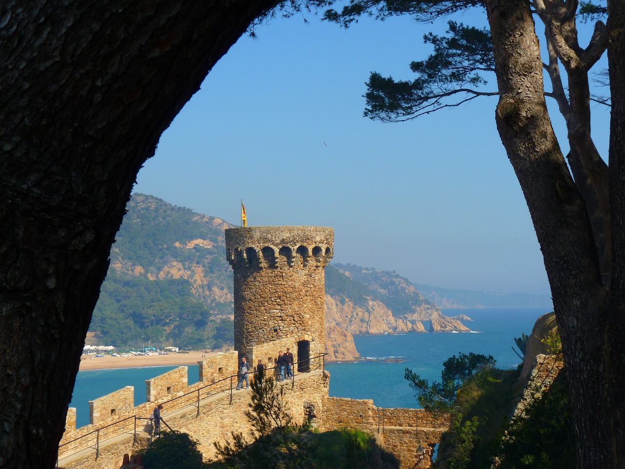 Foto di Logga Wiggler, da Pixabay